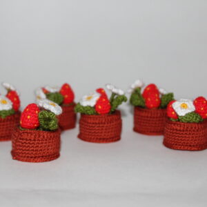 Miniature Blossomed Strawberries